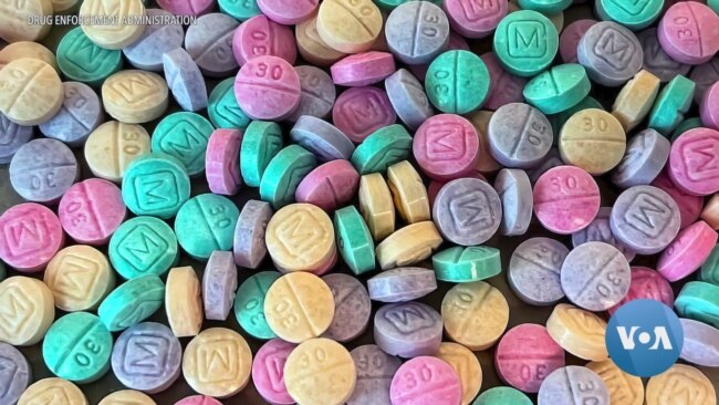 LogOn: Could Artificial Intelligence Help Solve Fentanyl Crisis?