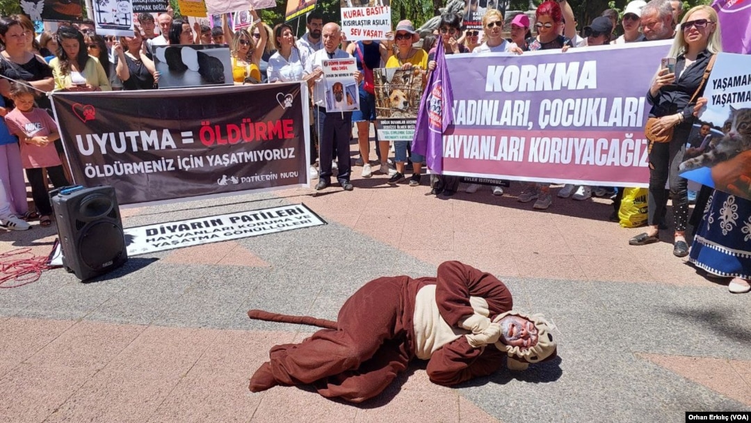 Gaziantep'te hayvan hakları savunucuları, AK Parti'nin "Hayvanları Koruma Kanunu"nda yapmayı planladığı değişikliği protesto etti