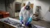 Countries struggle to draft 'pandemic treaty' to avoid COVID-era mistakes 