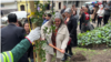 Durante este mes de septiembre los chilenos conmemoran los 50 años del golpe de Estado de 1973. En Santiago de Chile, la capital del país, fue plantado un quillay, un árbol emblemático del mediterráneo chileno que crece en suelos poco fértiles.