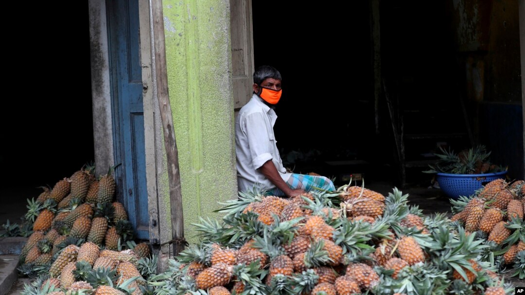 An Indian trader wearing a face mask waits for buyers next to a pile of pineapples at a wholesale fruit market in Bengaluru, India, Saturday, May 30, 2020.