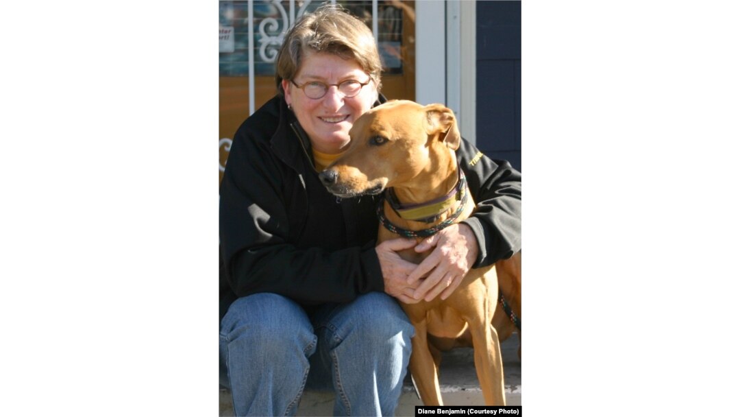 Diane Benjamin treated her Rhodesian ridgeback-greyhound mix with a CBD hemp oil.