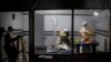 Quiz - Scientists Make Progress on Ebola Virus Treatment