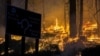 Study: Wildfires Are Destroying California's Forest Carbon Credit Reserves 