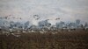 Israel's Water Worries Return After 4 Years of Drought