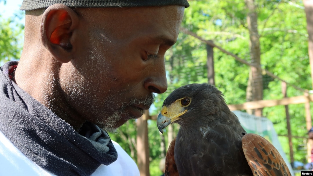 Rodney Stotts holds a Harris Hawk named Petunia, in Laurel, Maryland, U.S., May 10, 2022. (REUTERS/Kevin Fogarty)