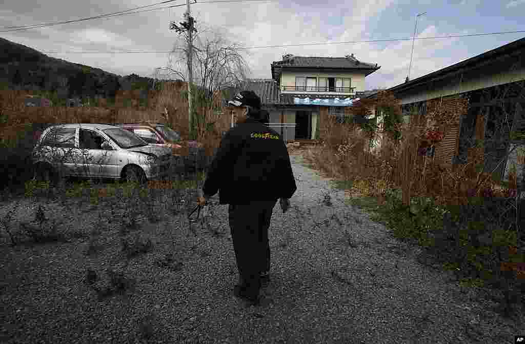 A former resident walks past an overgrown garden during a visit to his home in the abandoned town of Namie, just outside the 20 kilometer exclusion zone around the Fukushima Daiichi plant, Nov. 20, 2011. 