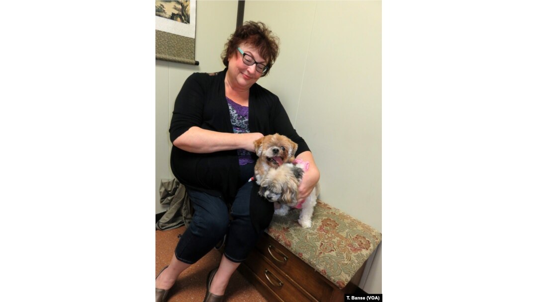 Michelle Batten of Portland gives Canna-Pet capsules to her two aging dogs, Willy and Gracie.