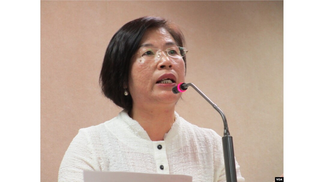 執政的國民黨立委 陳碧涵（美國之音張永泰拍攝）