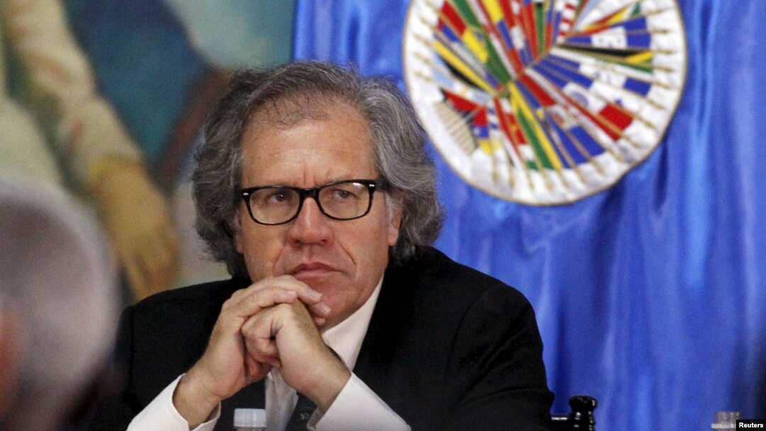 FILE - Secretary General of the Organization of American States (OAS) Luis Almagro attends a news conference, Aug. 8, 2015.