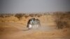 Refugees, migrants face horrors while crossing African continent