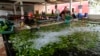 Cárteles explotan industria bananera de Ecuador para traficar cocaína