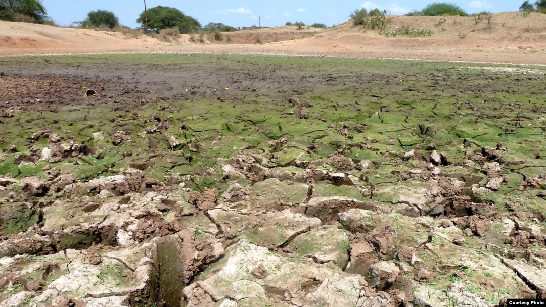The food and nutrition crisis facing countries in West Africa’s drought-prone Sahel region deteriorated at an alarming rate in March 2012. (IAEA)