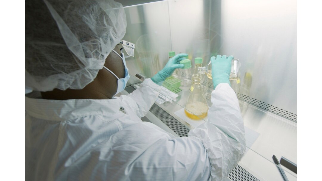 FILE - In this May 2020 photo provided by Eli Lilly, a researcher tests possible COVID-19 antibodies in a laboratory in Indianapolis. (David Morrison/Eli Lilly via AP, File)