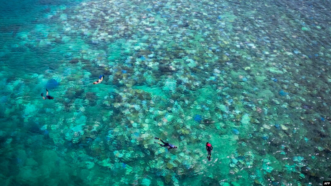FILE - Tourists snorkel above bleached and dead coral around Lizard Island on the Great Barrier Reef, located 270 kilometers (167 miles) north of the city of Cairns, Australia, on April 5, 2024.