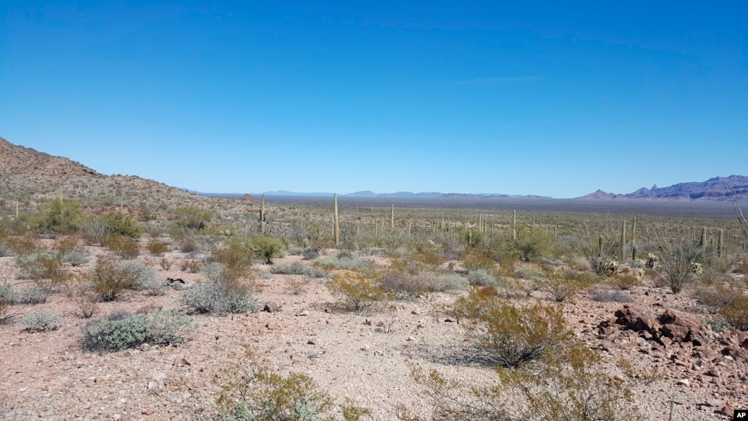 This undated image provided by Tucson Sector Border Patrol shows the desert terrain close to Arizona's boundary with Mexico near Lukeville, Arizona. 