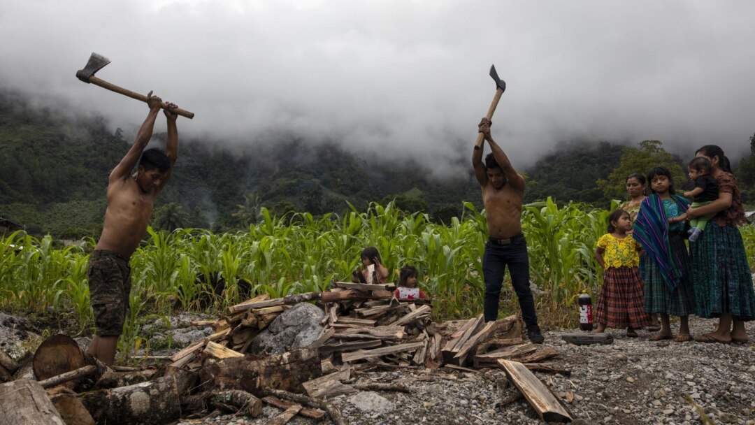 Eduardo Cal Chen, 23, left, and his 20-year-old brother Edgar, chop wood in the makeshift settlement Nuevo Queja, Guatemala, Sunday, July 11, 2021. (AP Photo/Rodrigo Abd)
