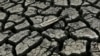 Studies: Climate Change a Factor in Disasters in Syria, California