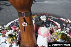 A makeshift shrine to 21-year-old David Dragicevic is the focus of nightly rallies demanding justice. The IT student’s body was found dumped in a sewer six days after he disappeared.