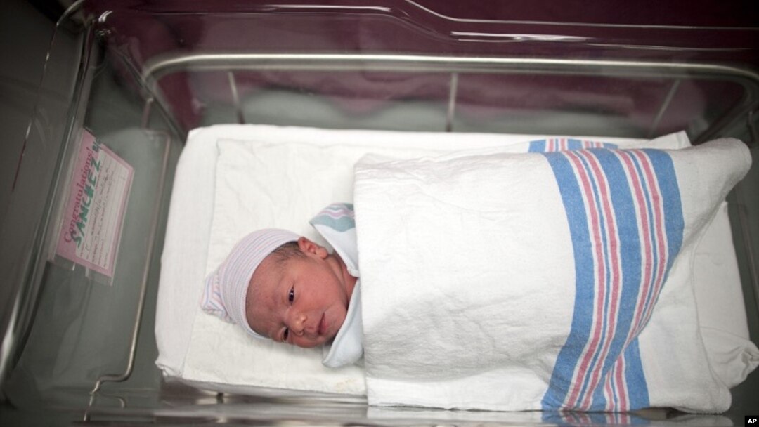 Newborn baby Makenzie, daughter of Stephanie Sanchez, 25, and Kenneth Vega, is wheeled to a nursery after she was born at 10:25am at Wyckoff Heights Medical Center in the Brooklyn borough of New York (October 2011 file photo) 