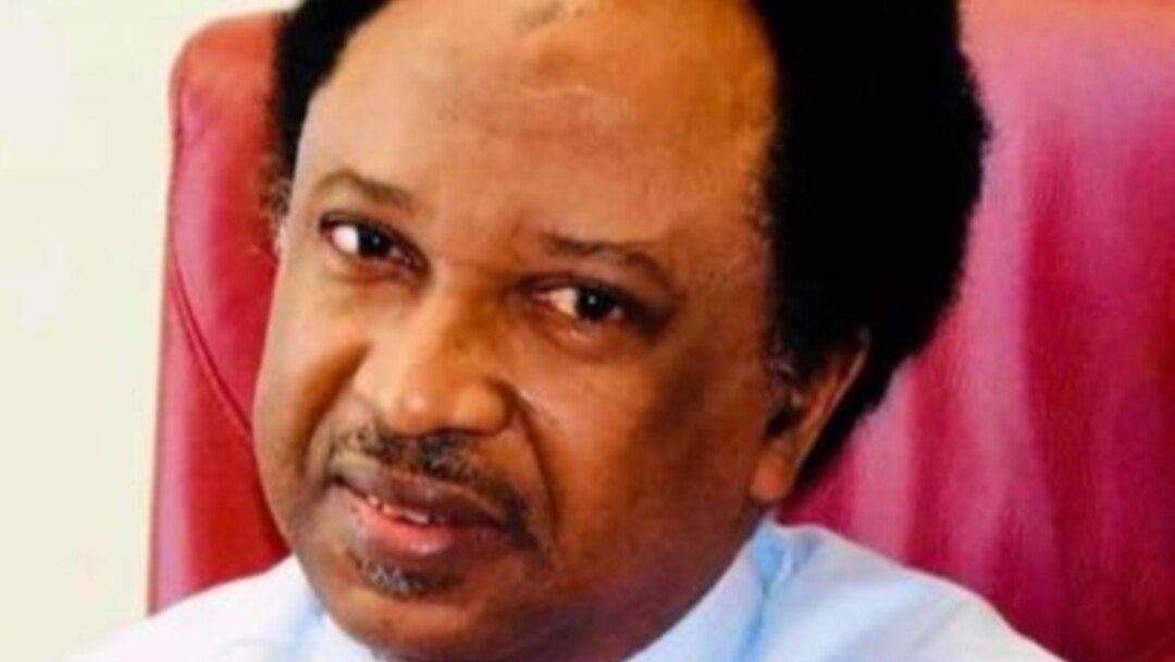 Sanata Shehu Sani