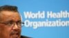 China y OMS negocian detalles de visita de expertos sanitarios a Wuhan