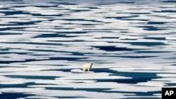 FILE - In this July 22, 2017, photo, a polar bear stands on the ice in the Franklin Strait in the Canadian Arctic Archipelago.