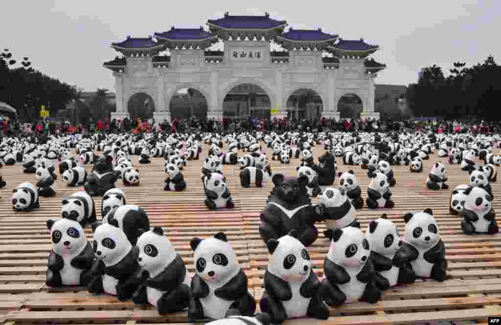 Two hundred paper Formosan black bears are surrounded by paper pandas at an exhibition called "Pandas on Tour" at the Liberty Square of National Chiang Kai-shek Memorial Hall in Taipei, Taiwan.