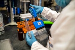 Scientists at the Africa Health Research Institute in Durban, South Africa, work on the omicron variant of the COVID-19 virus, Dec. 15, 2021.