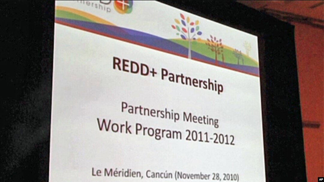 Climate Change Conference Begins in Mexico