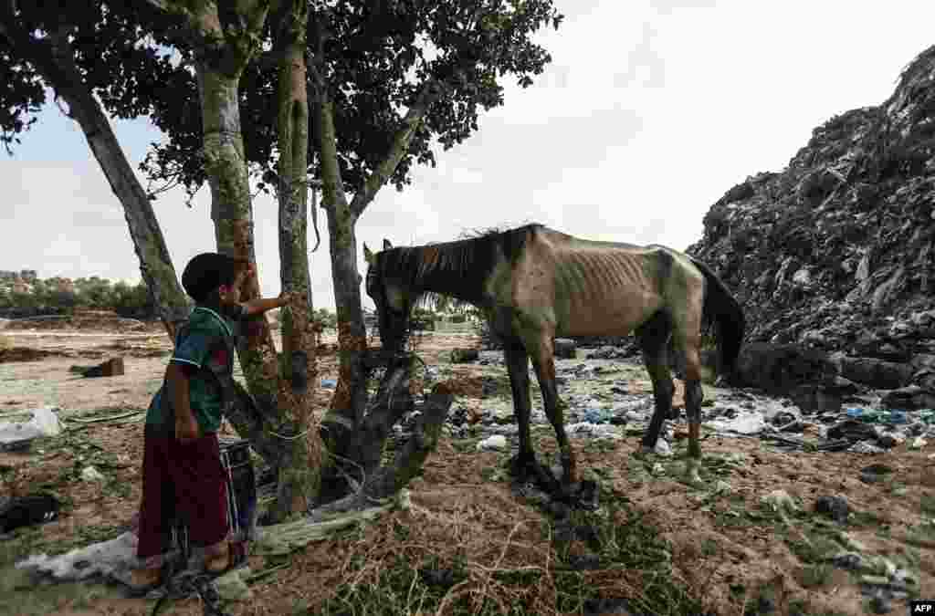 A Palestinian child looks at a horse in an impoverished neighborhood of the Khan Younis refugee camp in southern Gaza Strip, Aug. 25, 2018. The United States said that it had cancelled more than $200 million in aid for the Palestinians in the Gaza Strip and West Bank.