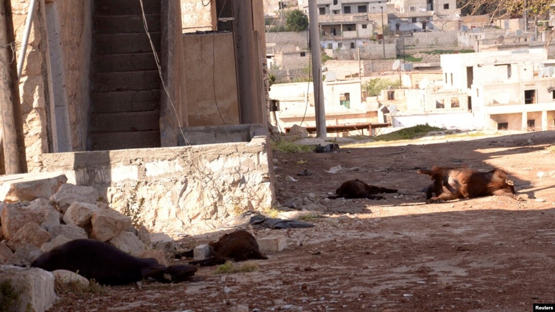 Animal carcasses are shown in wake of what residents describe as a chemical weapons attack in Khan al-Assal area, near Aleppo, Syria, March 23, 2013.