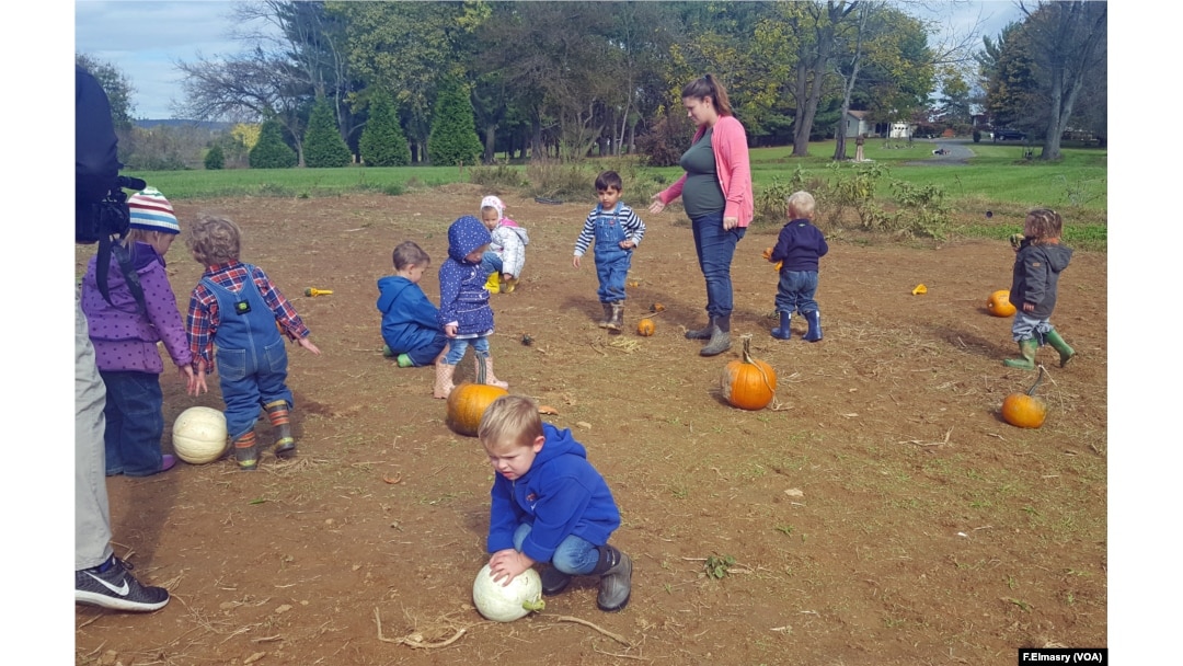 Pumpkin picking is a chance to learn about colors, shapes and numbers.