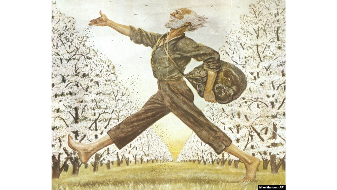 An illustration in The Saturday Evening Post showing American folk hero Johnny Appleseed. (AP Mike Munden)