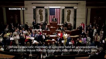 House Democrats Sit-in to Force Gun Vote