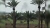 ارتش عراق منطقه الکرمه در حومه فلوجه را از داعش پس گرفت