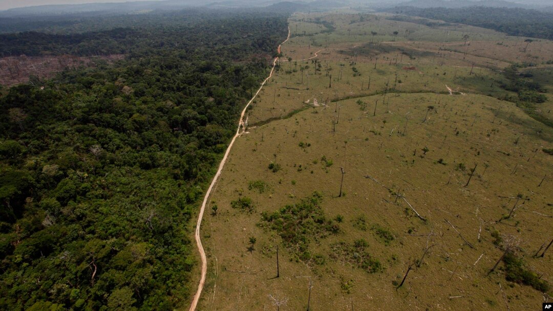 FILE - A photo of a deforested area near Novo Progresso in Brazil's northern state of Para, Sept. 15, 2009.