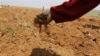 North Korea Could Face Food Shortage