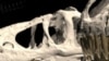 16x9 Image