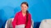 'Greta': A Young Activist's Moment, Praised and Criticized