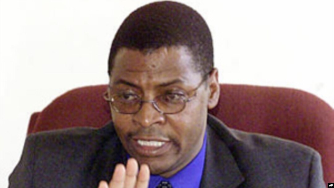 Industry Minister of the smaller Movement for Democratic Change Welshman Ncube (file photo)