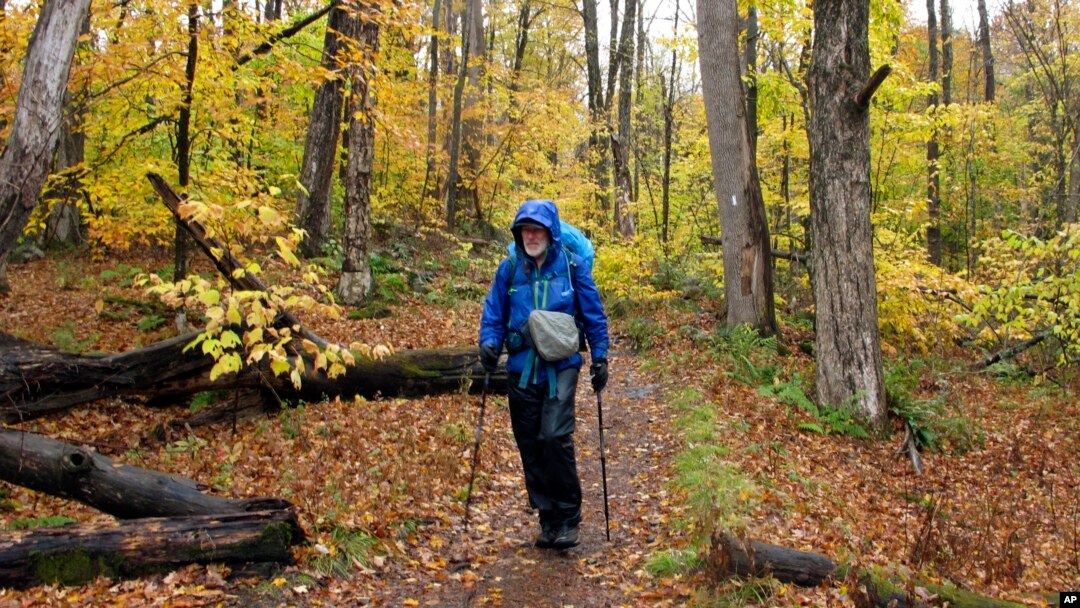 Artist Rob Mullen walks down Long Trail, the country's oldest long distance trail, in Manchester, Vt., on Tuesday, Oct. 13, 2020. Mullen was nearing the end of his 272-mile month-long hike down the length of Vermont, painting along the way. (AP Photo/Lisa