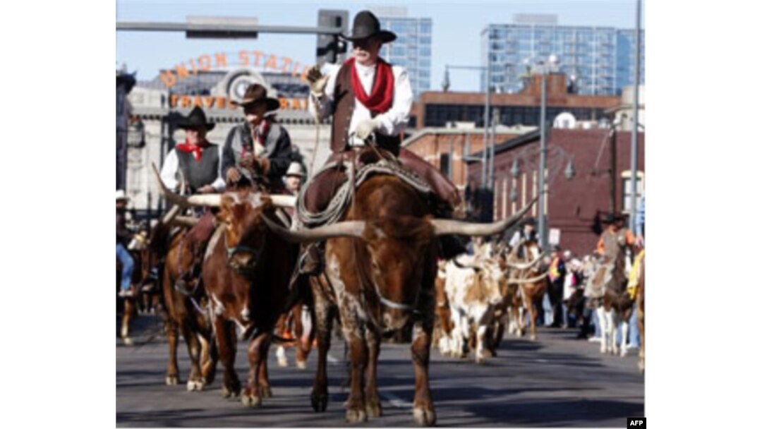 Texas xalqi qishloq xo'jaligi va ayniqsa zotdor qoramoli bilan faxrlanadi.