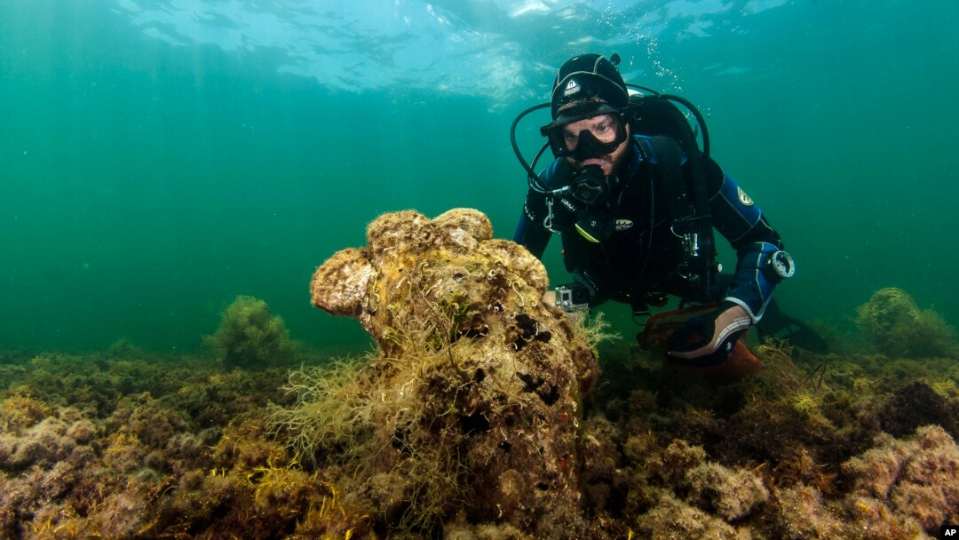 In this Sunday, Sept. 14, 2008 underwater photo, a diver observes a pen shell on the seabed in the Aegean Sea. A new parasite is devastating populations of an emblematic giant species of clam found only in the Mediterranean. (Yiannis Issaris via AP)