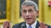 Dr. Anthony Fauci, director of the National Institute of Allergy and Infectious Diseases testifies on Capitol Hill in Washington, November 2009. (file photo)