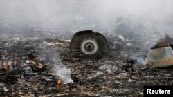 FILE - The site of a Malaysia Airlines Boeing 777 plane crash is seen near the settlement of Grabovo in Ukraine's Donetsk region, July 17, 2014. 