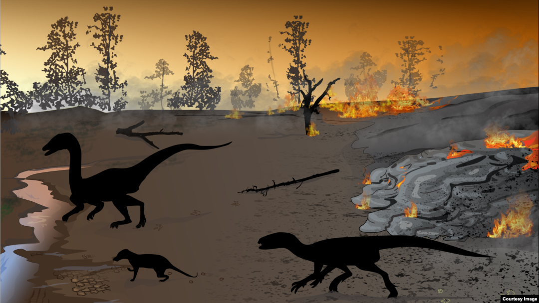 This artist illustration depicts Karoo firewalking dinosaurs dating back to the Early Jurassic geologic period. (Heterodontosaurid silhouette is courtesy of Viktor Radermacher, via PLOS ONE.)