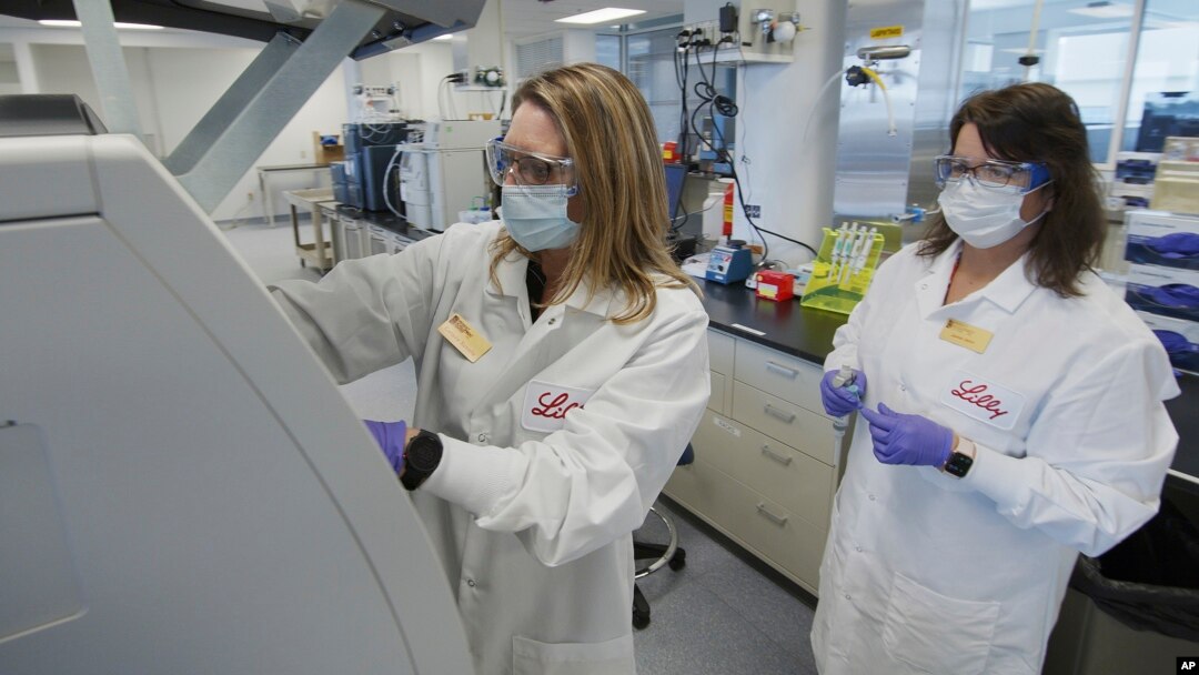 FILE - In this May 2020 photo provided by Eli Lilly, researchers prepare cells to produce possible COVID-19 antibodies for testing in a laboratory in Indianapolis. (David Morrison/Eli Lilly via AP, File)