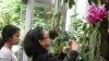 21 Percent of World’s Plants Could Disappear