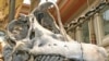 Fossil Studies Show Dinosaurs Were Warm-Blooded